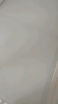 'Tote + Accessories' Mystery Bag