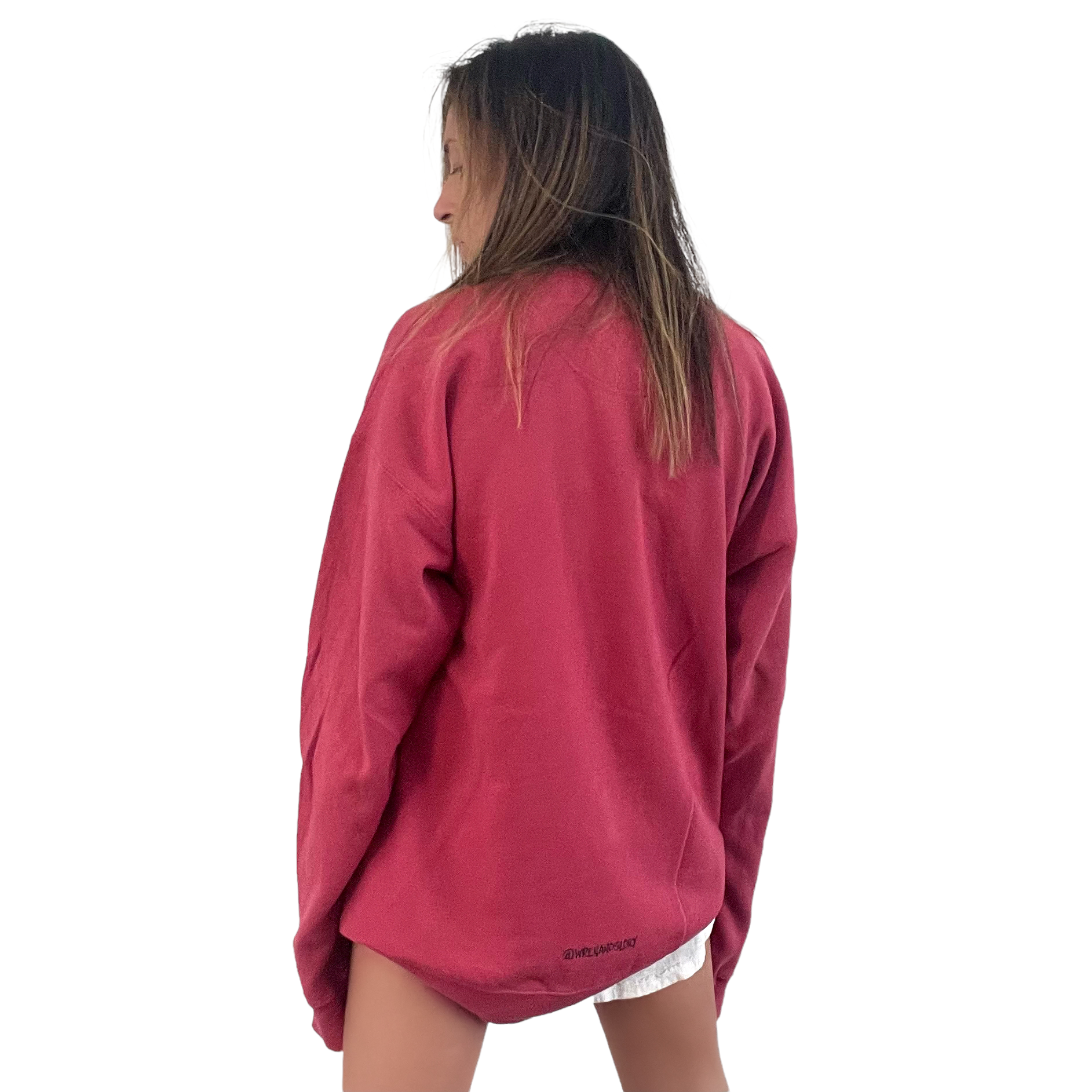 'Basic But Personalized' Painted Red Crewneck