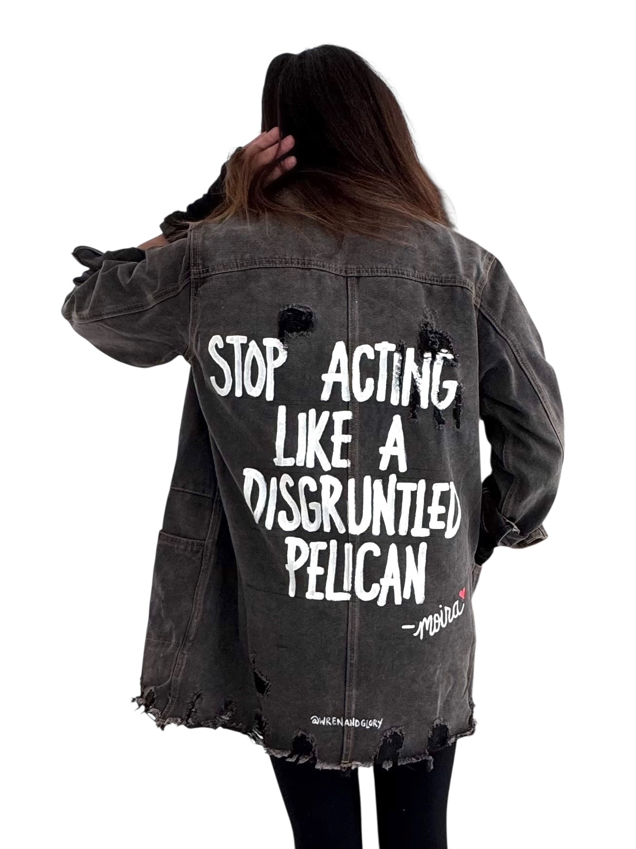 'Disgruntled Pelicans' Painted Jacket
