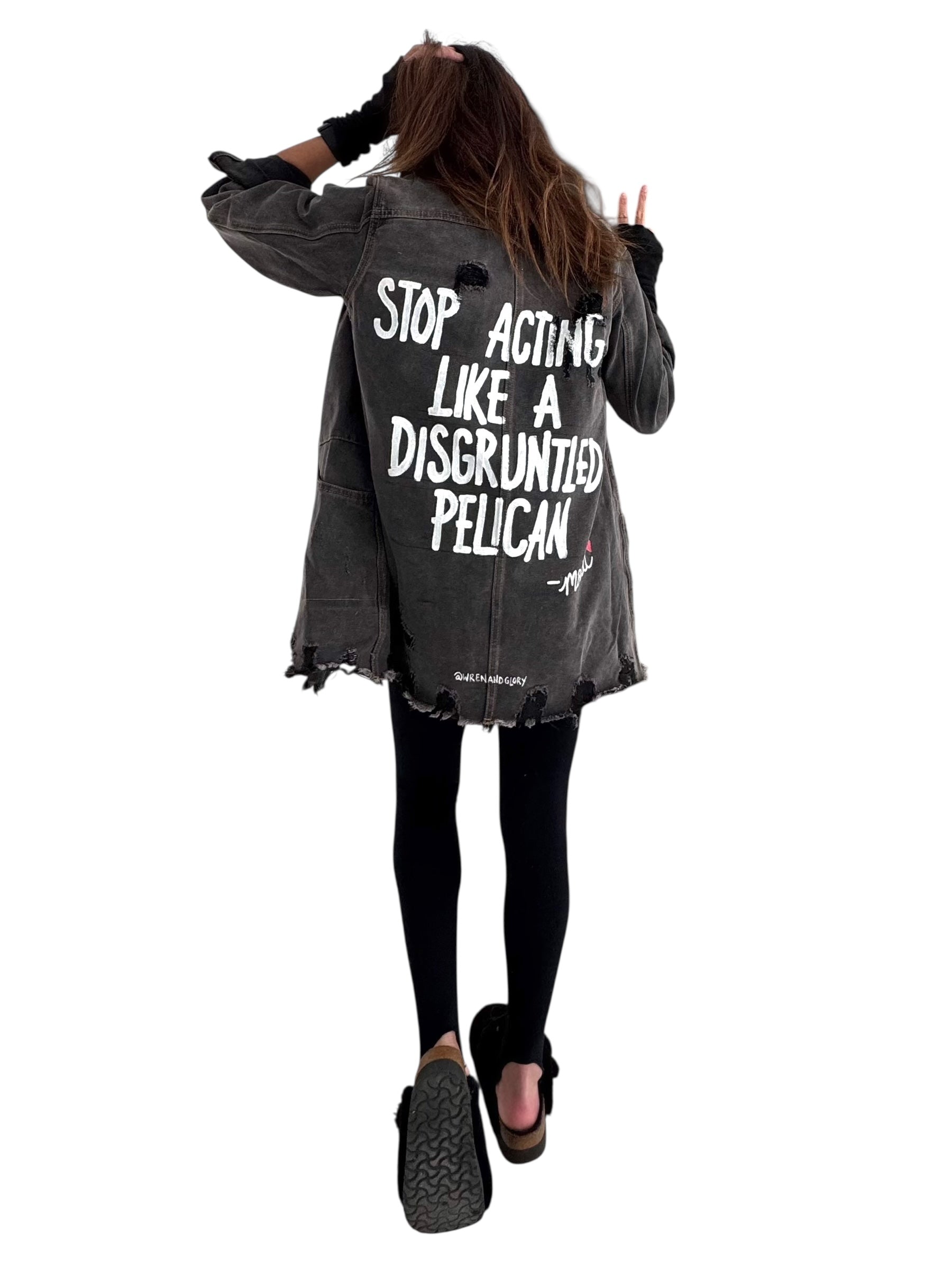 'Disgruntled Pelicans' Painted Jacket