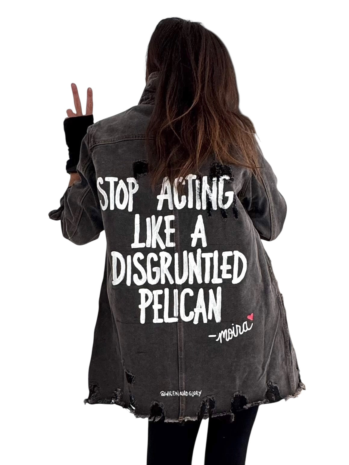 'Disgruntled Pelicans' Painted Jacket