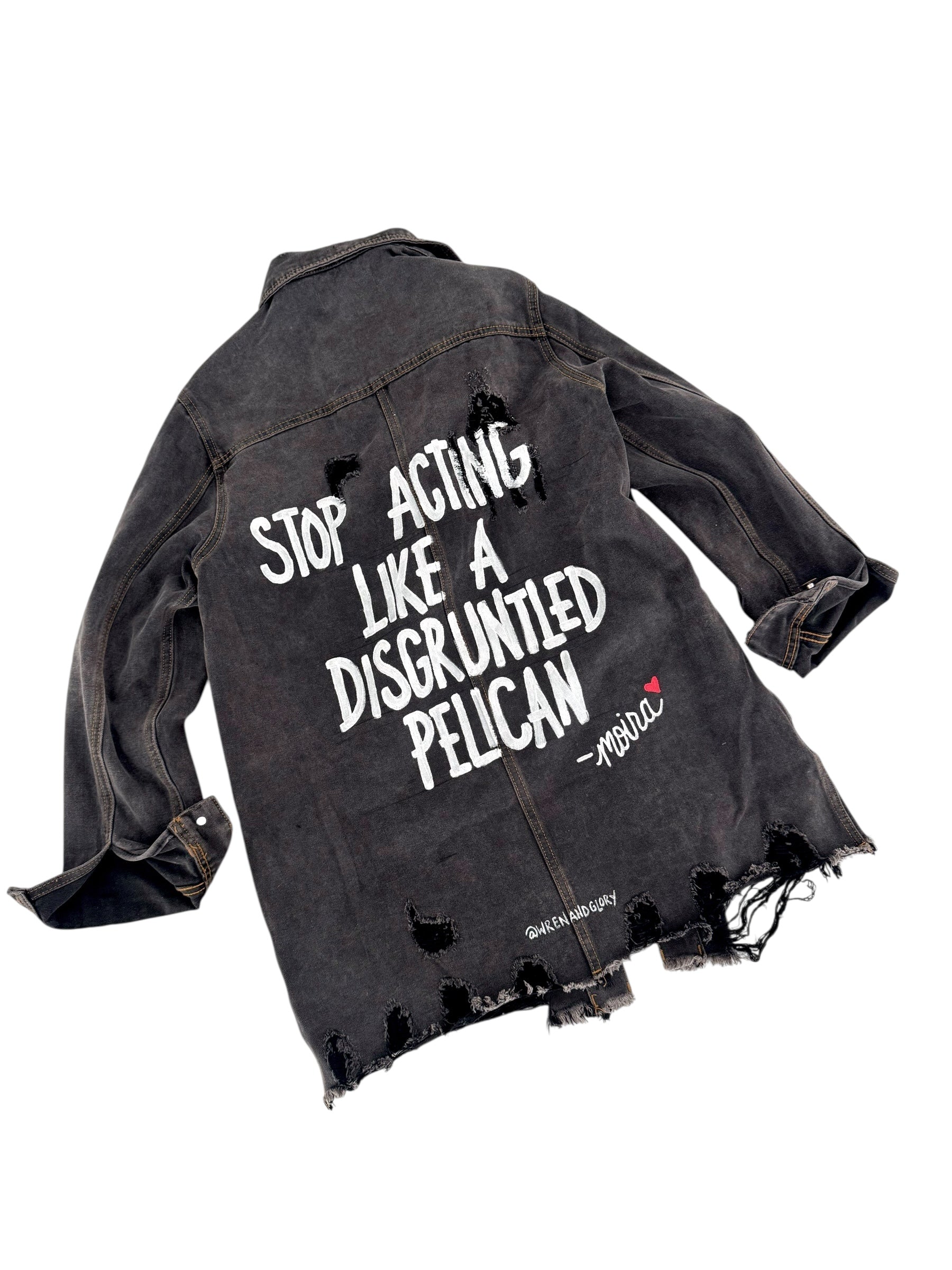 'Disgruntled Pelicans' Painted Jacket
