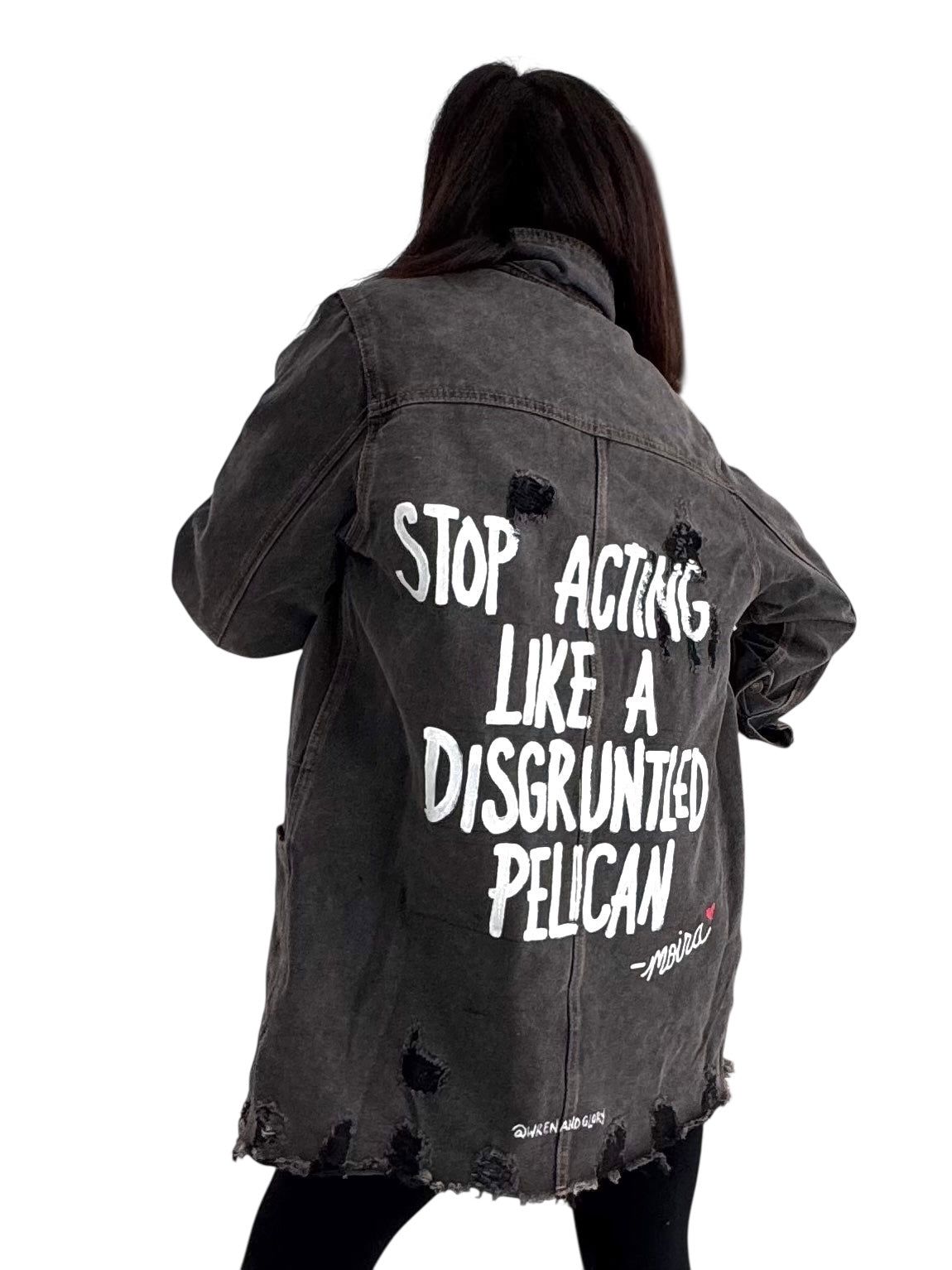 'Disgruntled Pelicans' Painted Jacket
