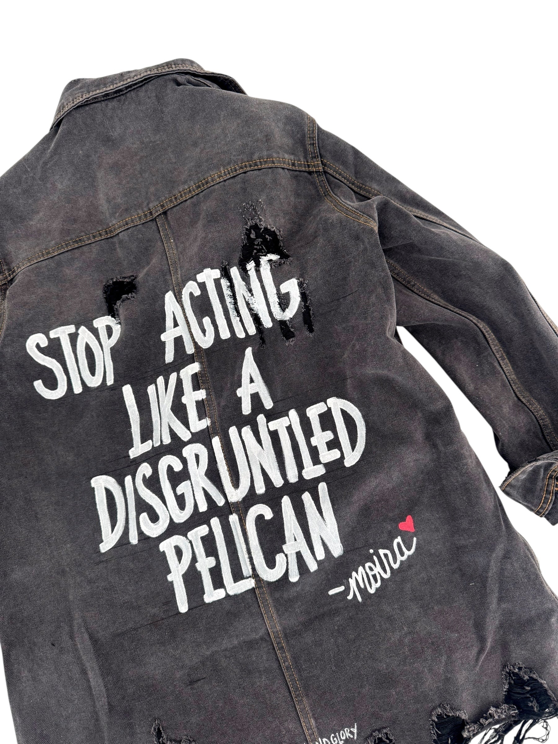 'Disgruntled Pelicans' Painted Jacket